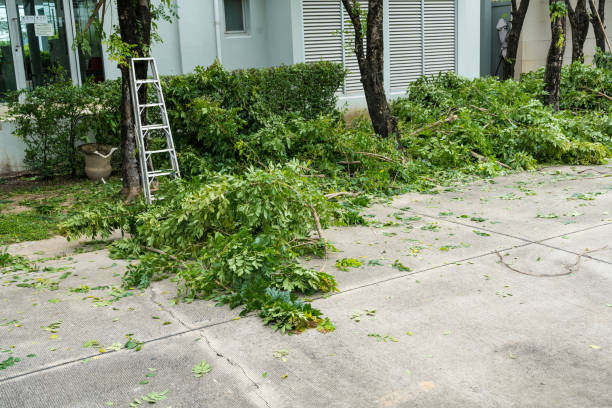 Best Tree Health Inspection  in Lanett, AL