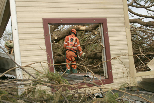 Best Tree Maintenance Programs  in Lanett, AL