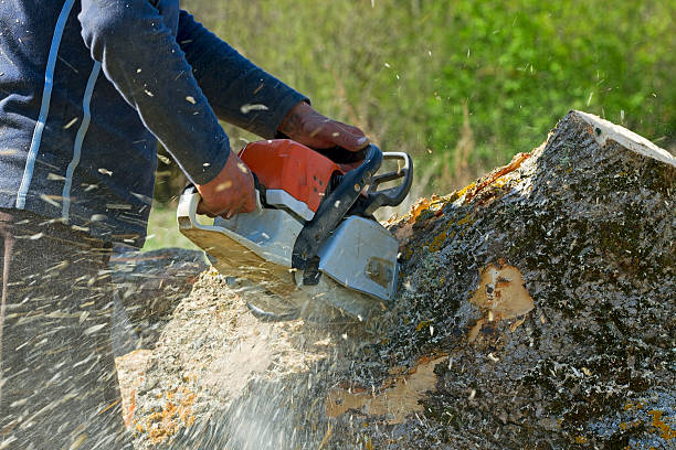 Mulching Services in Lanett, AL